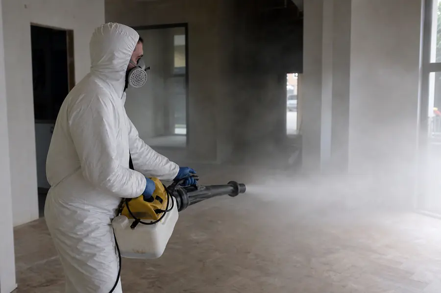¿Es seguro fumigar con niños y mascotas en casa?