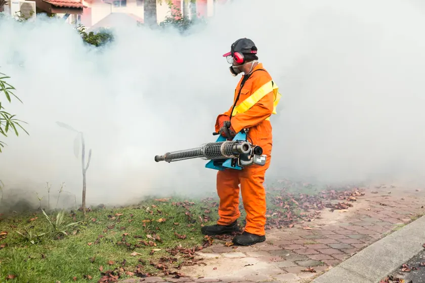 Control del mosquito tigre en Mataró — PlagaOUT
