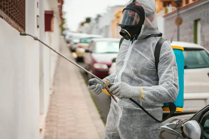 Tratamiento de hormigas en Mataró — PlagaOUT