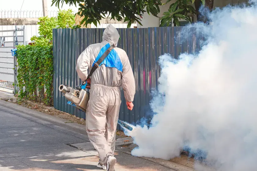Tratamiento de mosquitos en Mataró — PlagaOUT